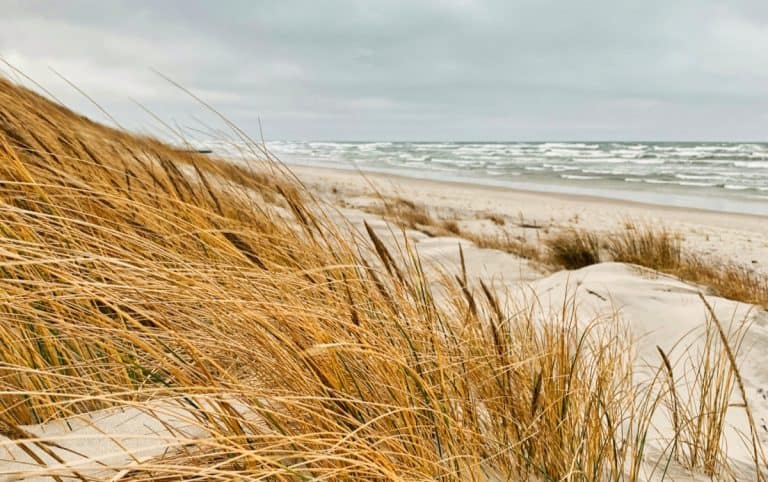 Düne im Ostseeurlaub
