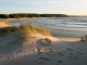 Goldener Reif an der Ostsee