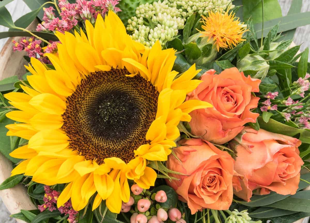 Sonnenblumen und Rosen