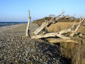Börgerende Strand