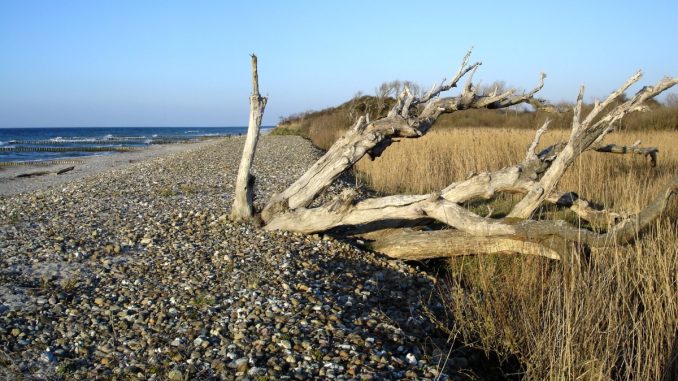 Börgerende Strand