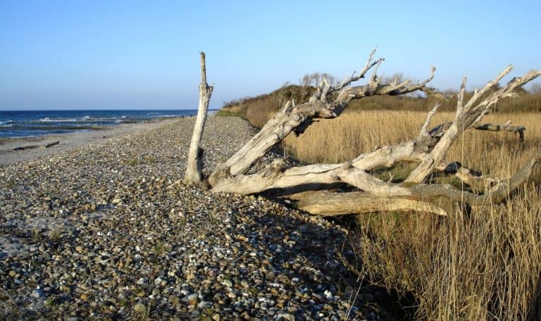 Urlaub in Börgerende an der Ostsee Börgerende Strand