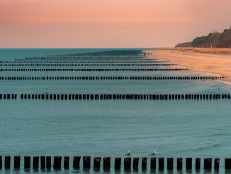 Buhnen an der Ostsee am Abend