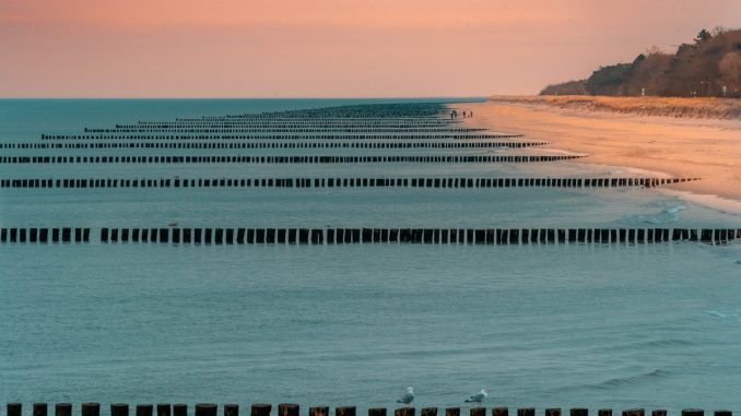 Buhnen an der Ostsee am Abend