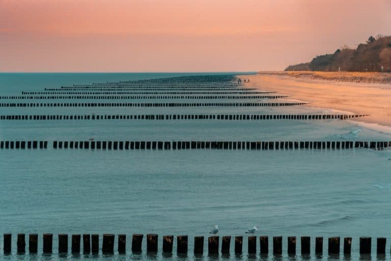 Buhnen an der Ostsee am Abend