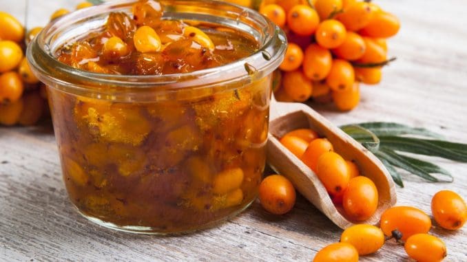 Sanddorn Marmelade von der Ostsee