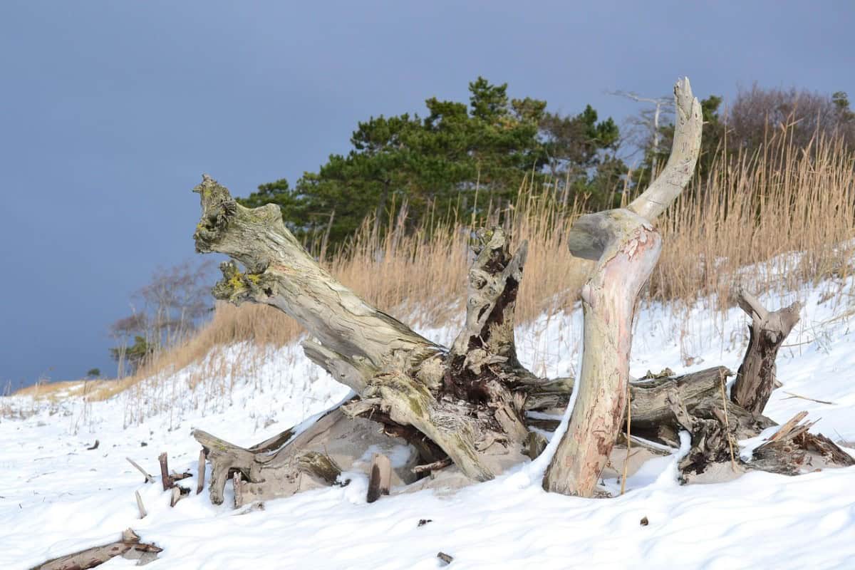 Winter an der Ostsee