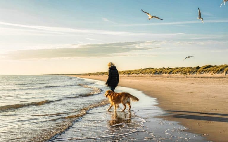Mit Hund an der Ostsee: So genießt ihr Strand, Dünen und Küstenwege sicher und entspannt Hund an der Ostsee