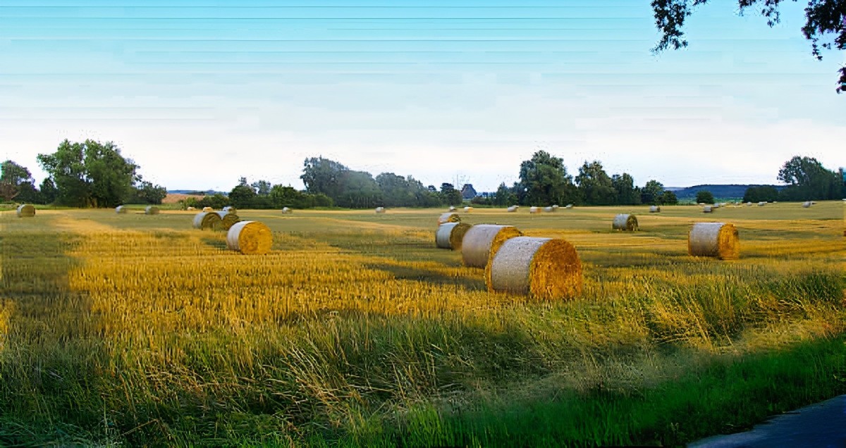 Auf den Spuren des Usedom-Krimis: Drehorte der beliebten ARD Serie Lieperwinkel Sommer