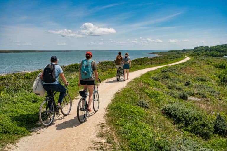Radwandern auf dem Ostseeküstenradweg: Die schönsten Routen und Tipps für dein Abenteuer Ostseeküstenradweg