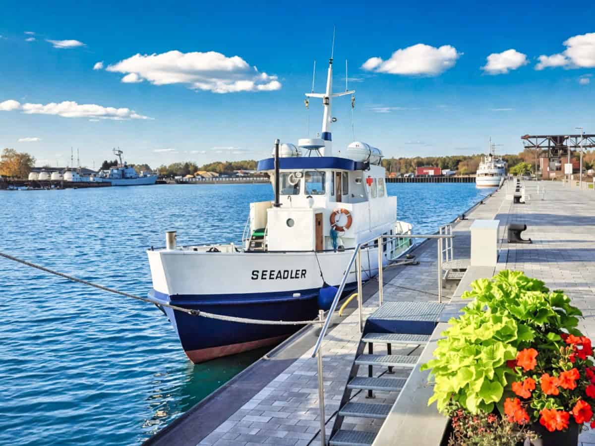 MS Seeadler unternimmt Fahrten zur Greifswalder Oie